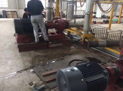 化工泵使(shǐ)用現場